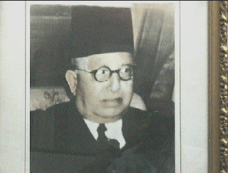 علي زكي العرابي باشا